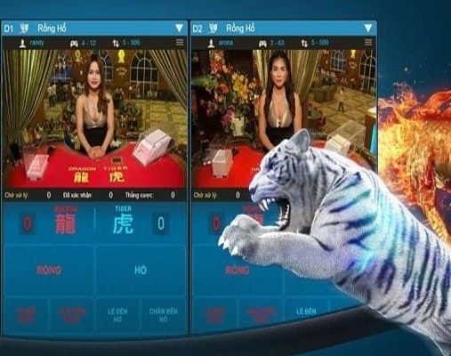 Cách Chơi Rồng Hổ - Hiểu Rõ Quy Tắc Tham Gia Đặt Cược Cơ Bản 78win 4 Thuật ngữ cơ bản trong tựa game rồng hổ